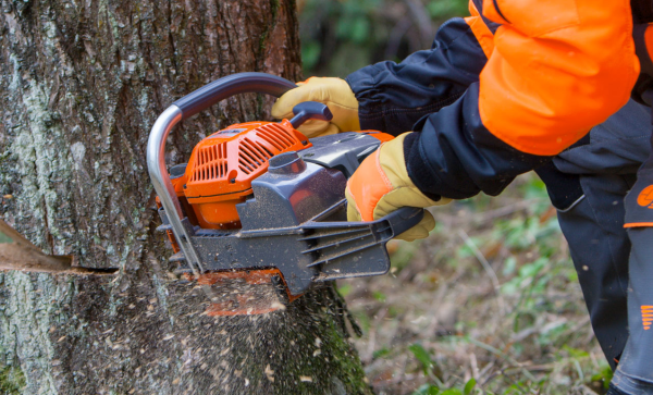 Для дома и леса: обзор бензопил Oleo-Mac