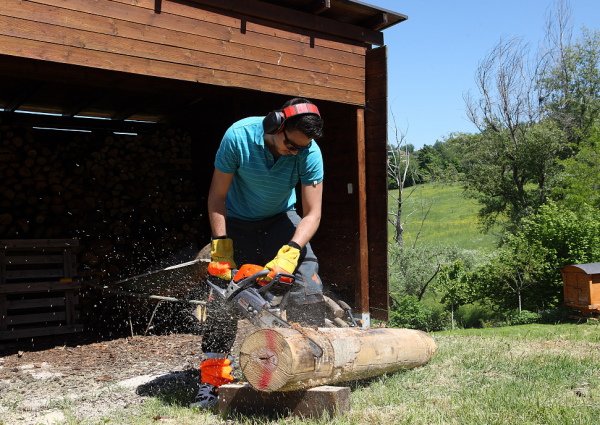 Цепные пилы: обзор моделей Oleo-Mac GS 35/GS 35 C