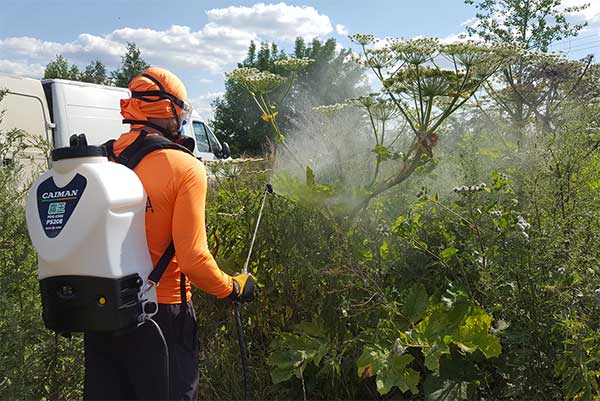 Тихие убийцы борщевика. Тест аккумуляторных опрыскивателей Caiman